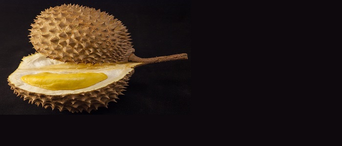 Durian_1