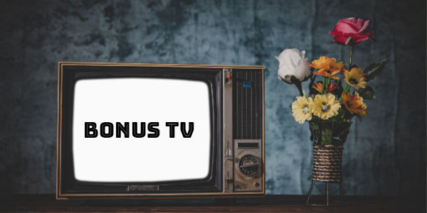 bonus tv decoder dvb t2