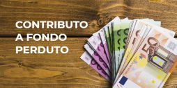 Contributo a fondo perduto: a chi spetta e come fare domanda